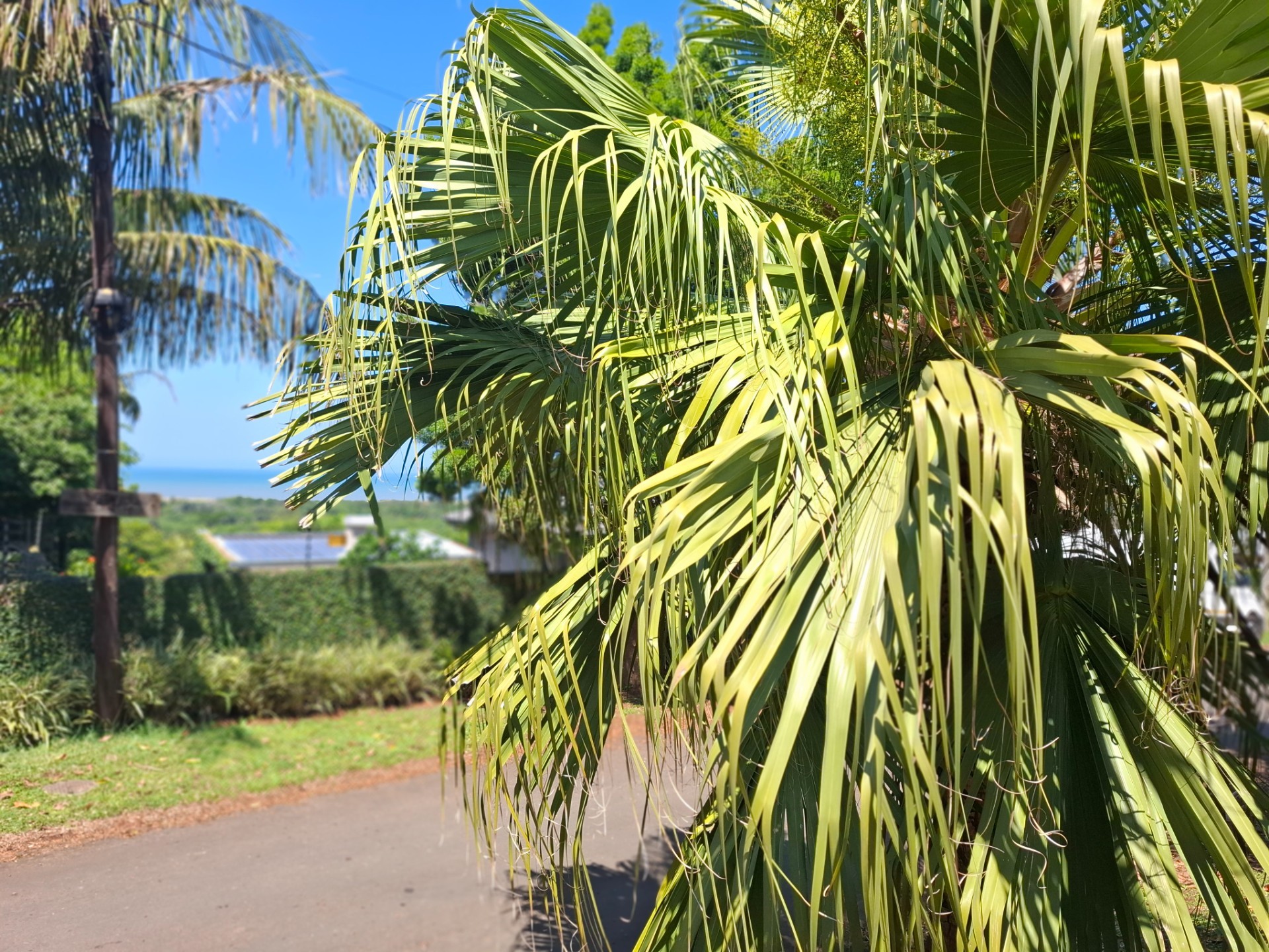 House for sale in Mtunzini, KwaZulu Natal, 1741 m²