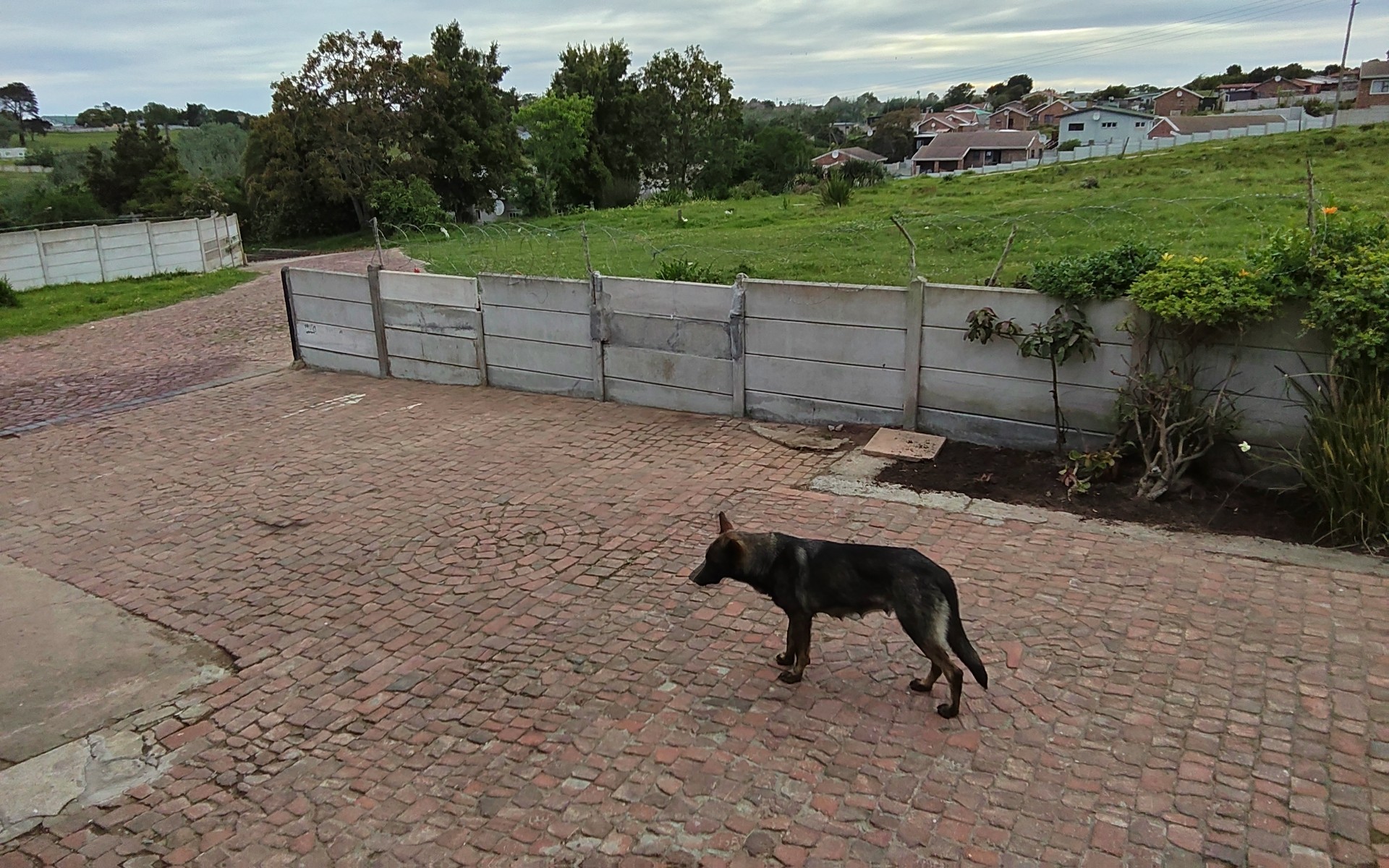 House for sale in Pacaltsdorp, George, 80 Noordstreet, Pacaltsdorp, George, Western Cape, 3342 m²