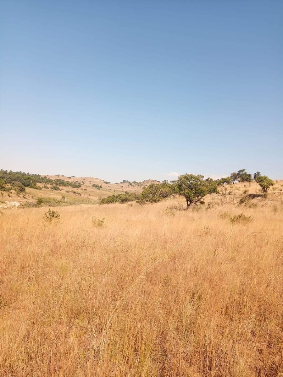 Farm for sale in Badplaas