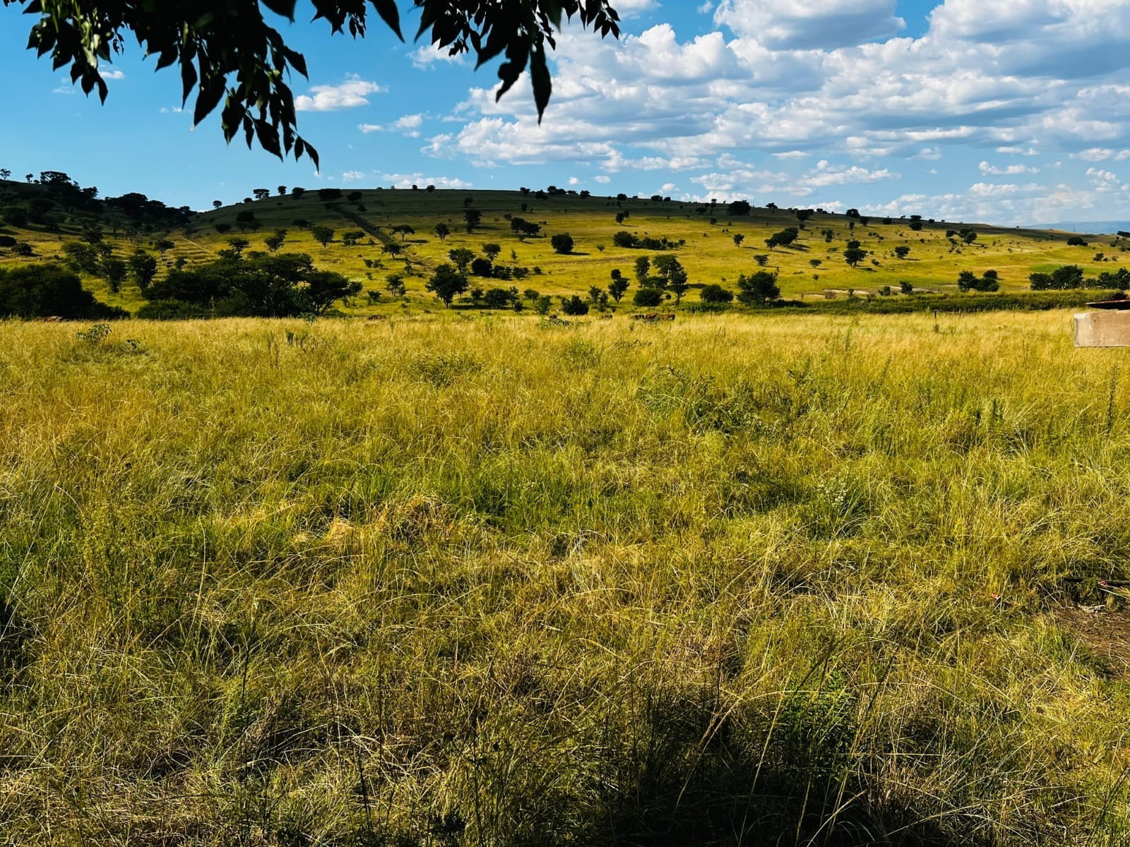 Farm for sale in Vryheid Rural, Vryheid, KwaZulu Natal