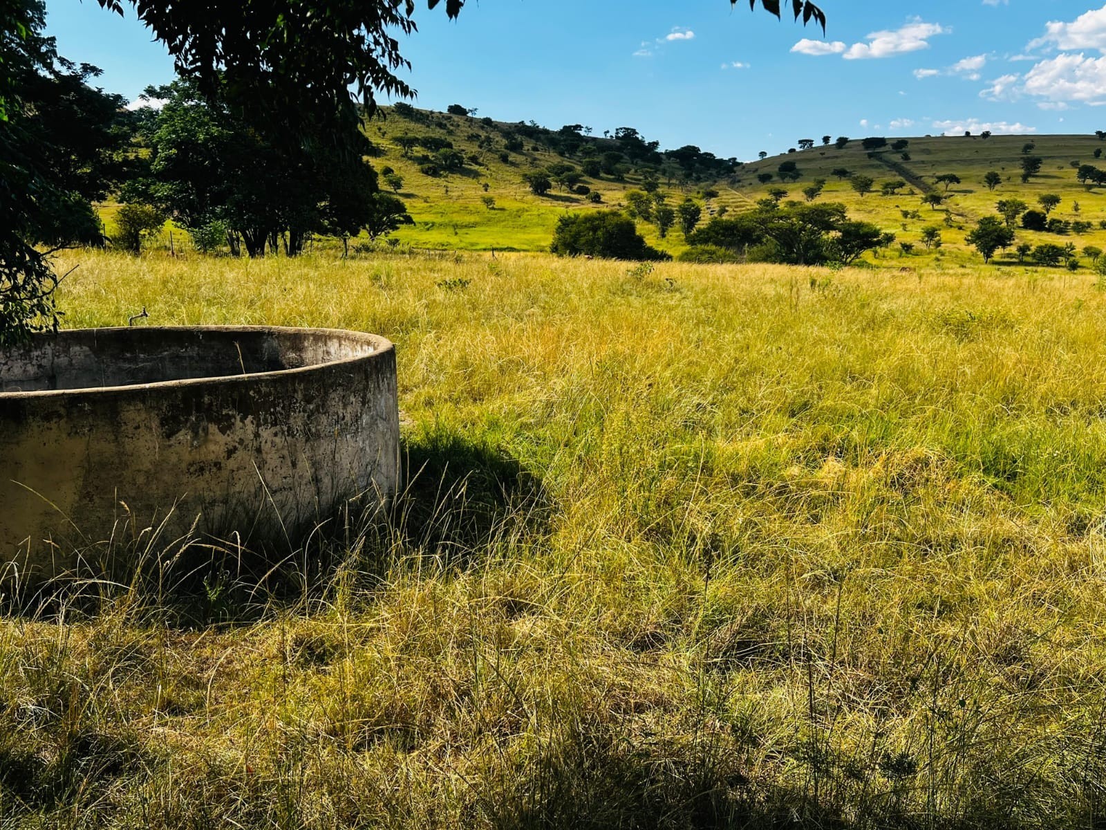 Farm for sale in Vryheid Rural, Vryheid, KwaZulu Natal