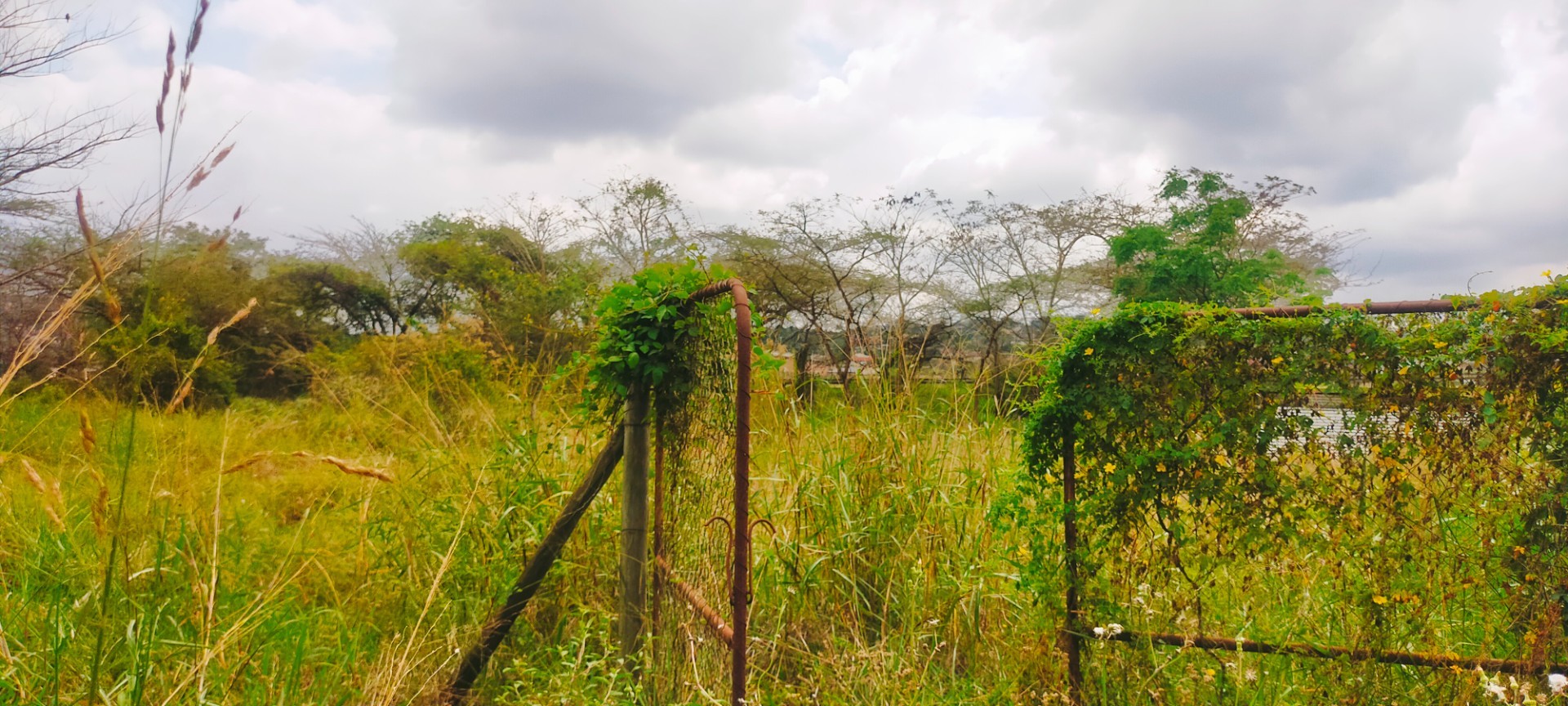 Vacant Land for sale in Thohoyandou, 600 m²