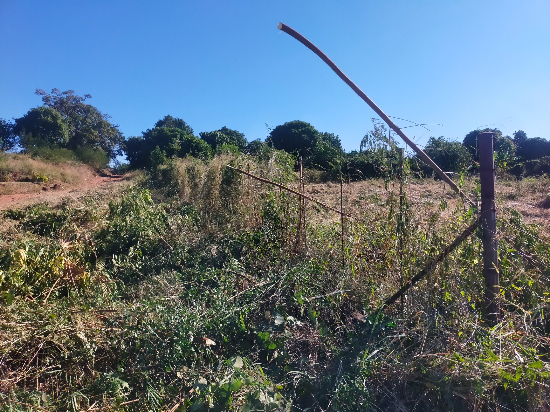 Vacant Land for sale in Thohoyandou, 610 m²