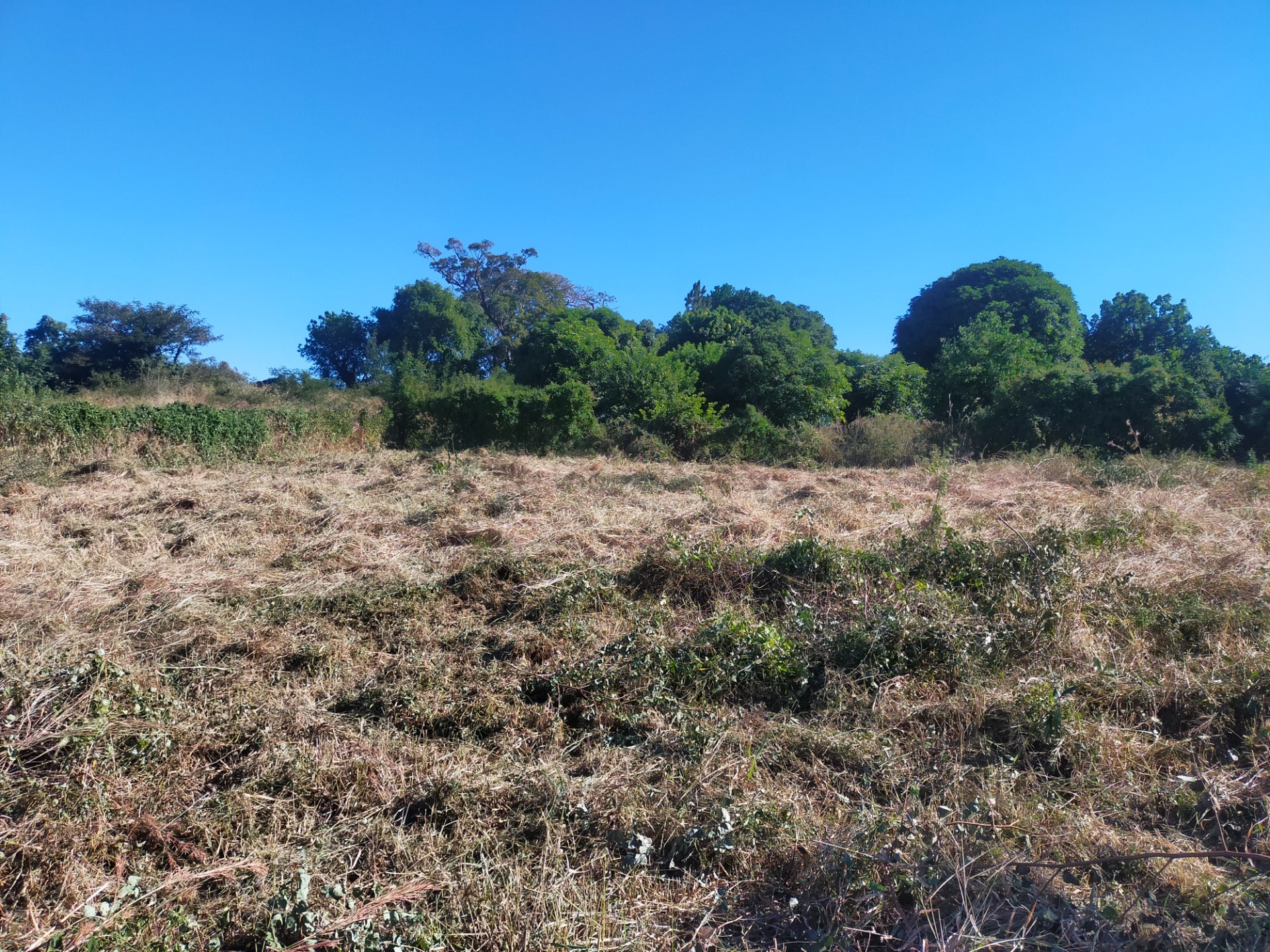 Vacant Land for sale in Thohoyandou, 610 m²