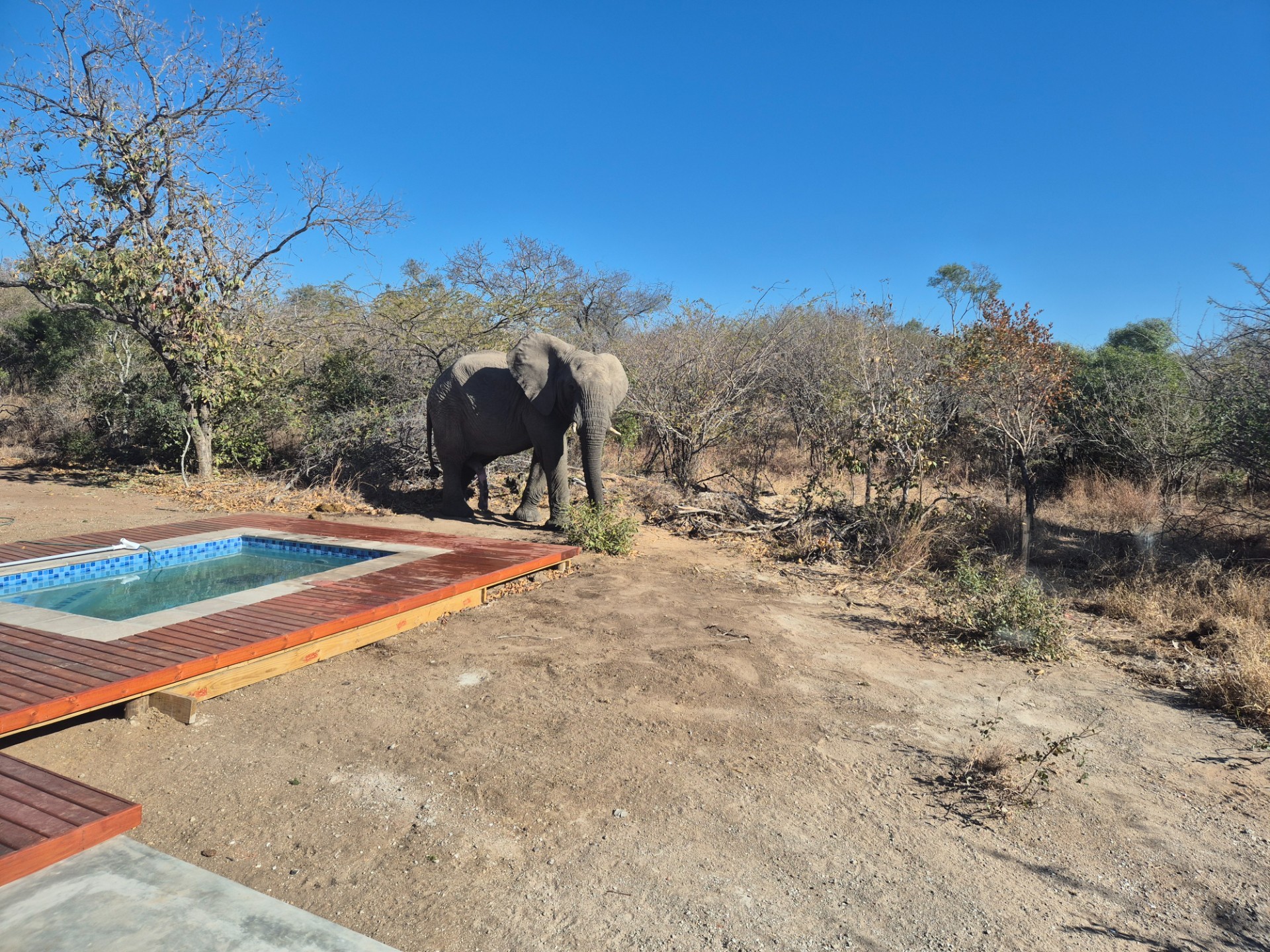 House for sale in Moditlo Nature Reserve, Hoedspruit, 230 m²