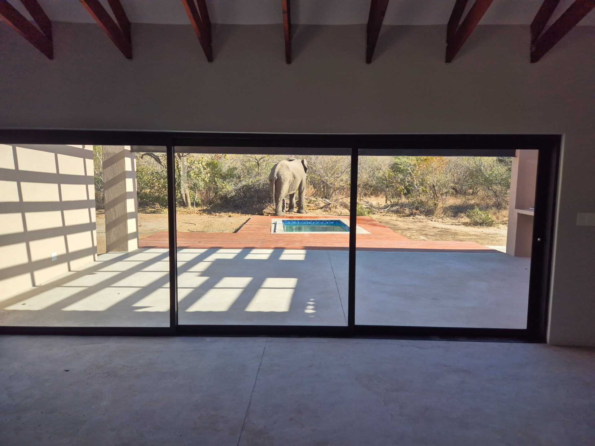 House for sale in Moditlo Nature Reserve, Hoedspruit, 230 m²