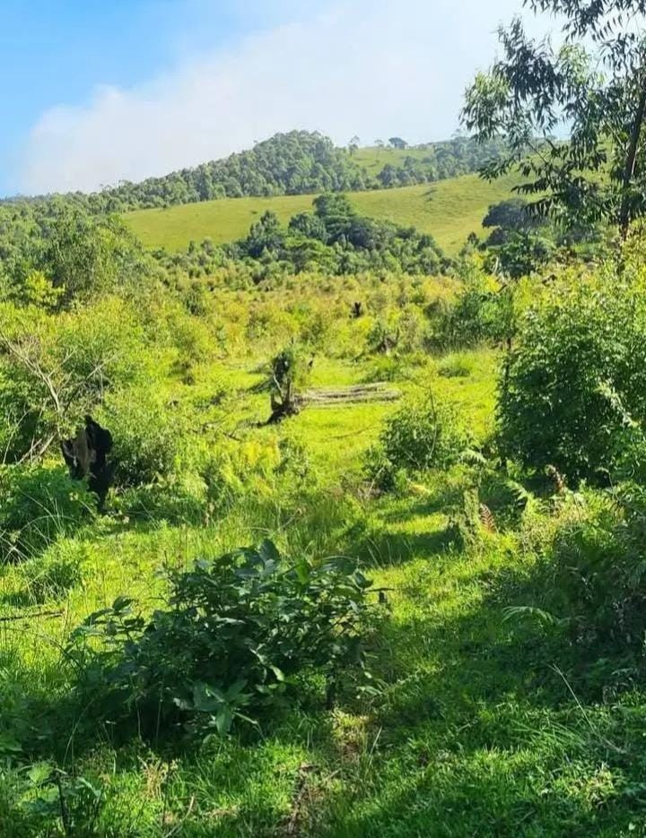 Farm for sale in Mandeni Rural, Mandeni, KwaZulu Natal