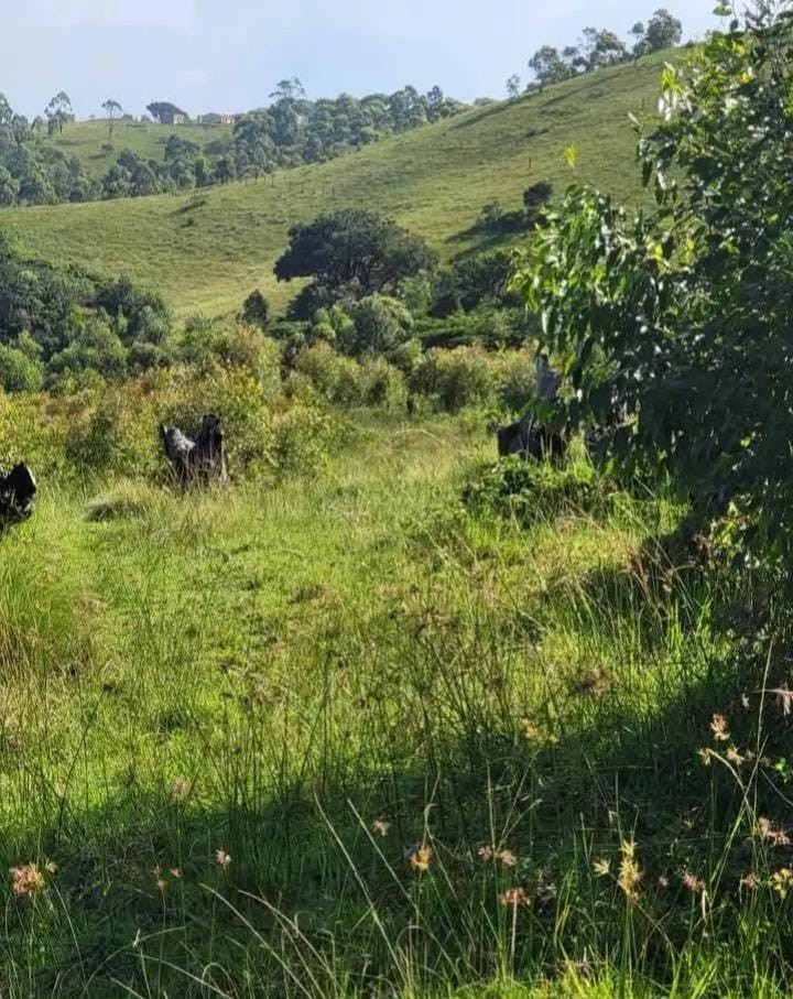 Farm for sale in Mandeni Rural, Mandeni, KwaZulu Natal
