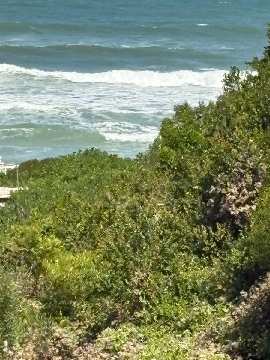 Vacant Land for sale in Oyster Bay, 594 m²