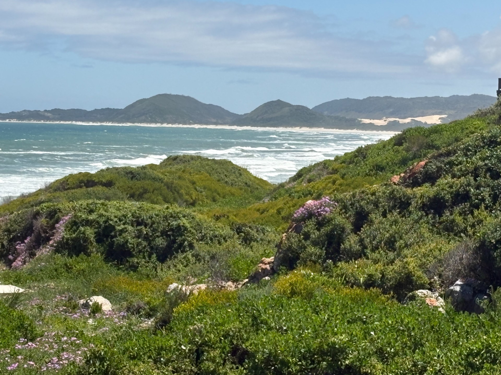 Vacant Land for sale in Oyster Bay, 594 m²