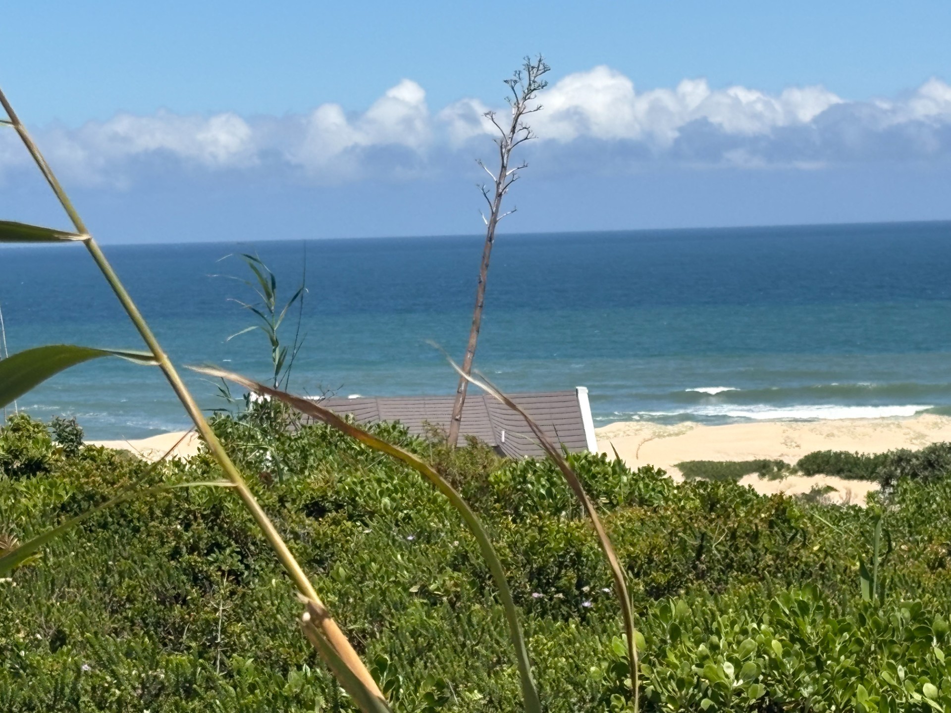 Vacant Land for sale in Oyster Bay, 765 m²