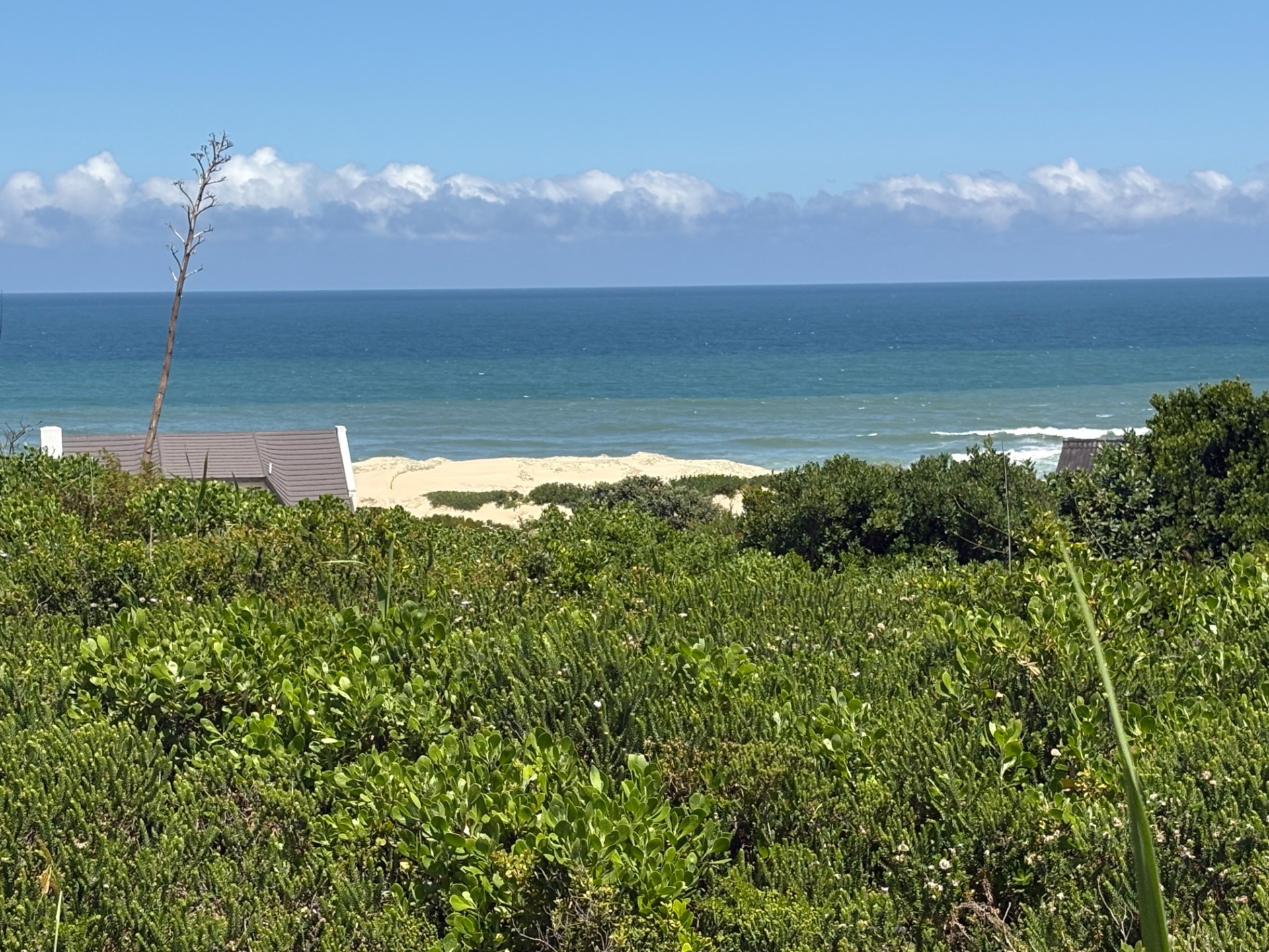 Vacant Land for sale in Oyster Bay, 765 m²