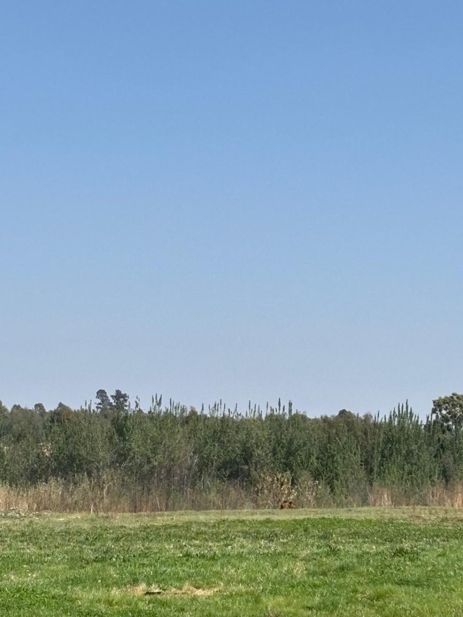 Vacant Land for sale in Witpoortjie, Roodepoort, 127197 m²