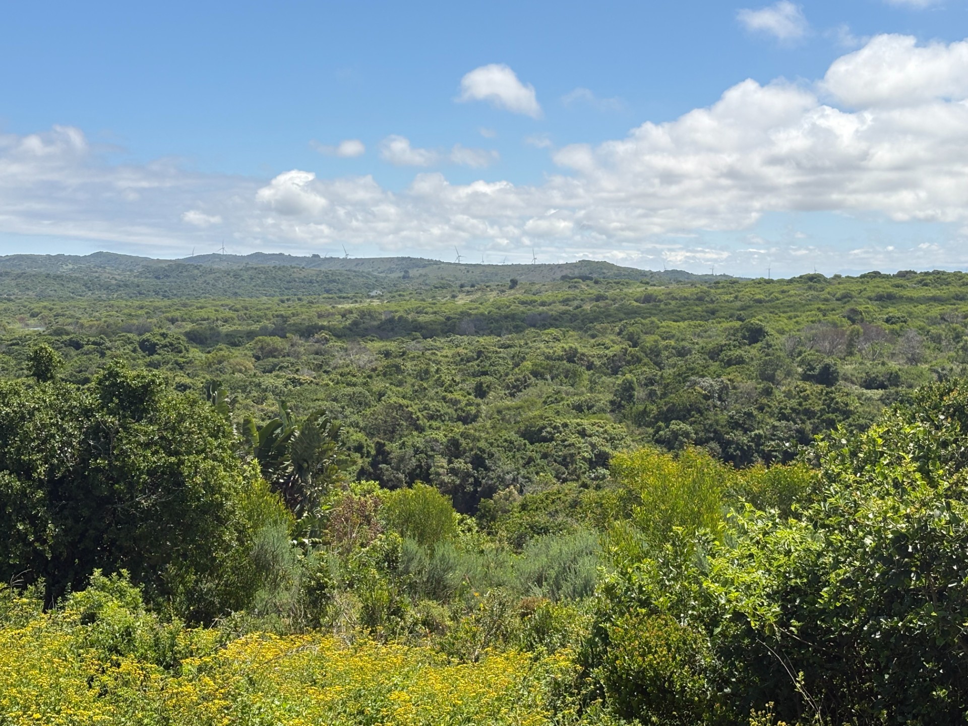 Vacant Land for sale in Oyster Bay, 1100 m²