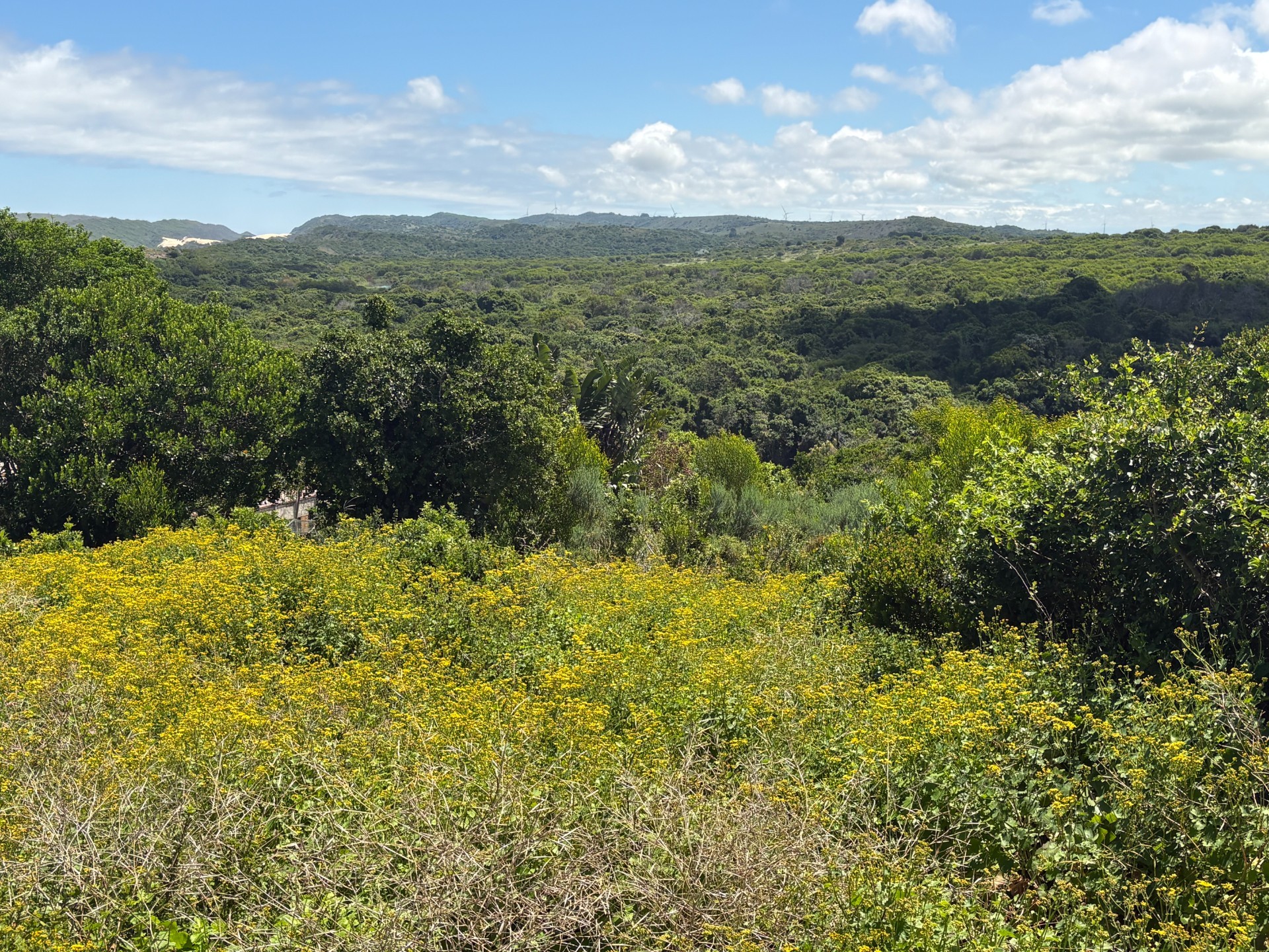 Vacant Land for sale in Oyster Bay, 1100 m²