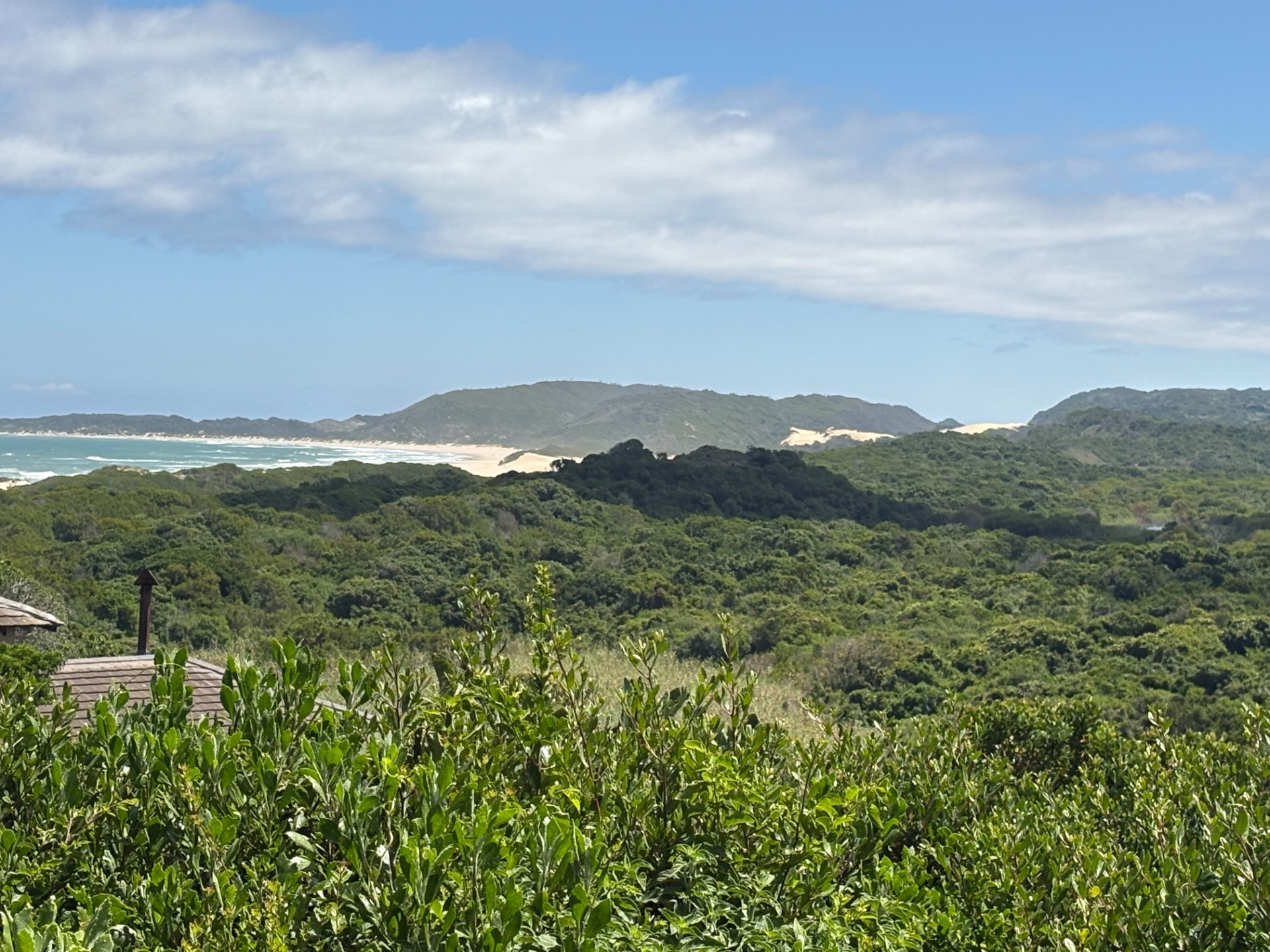 Vacant Land for sale in Oyster Bay, 1100 m²