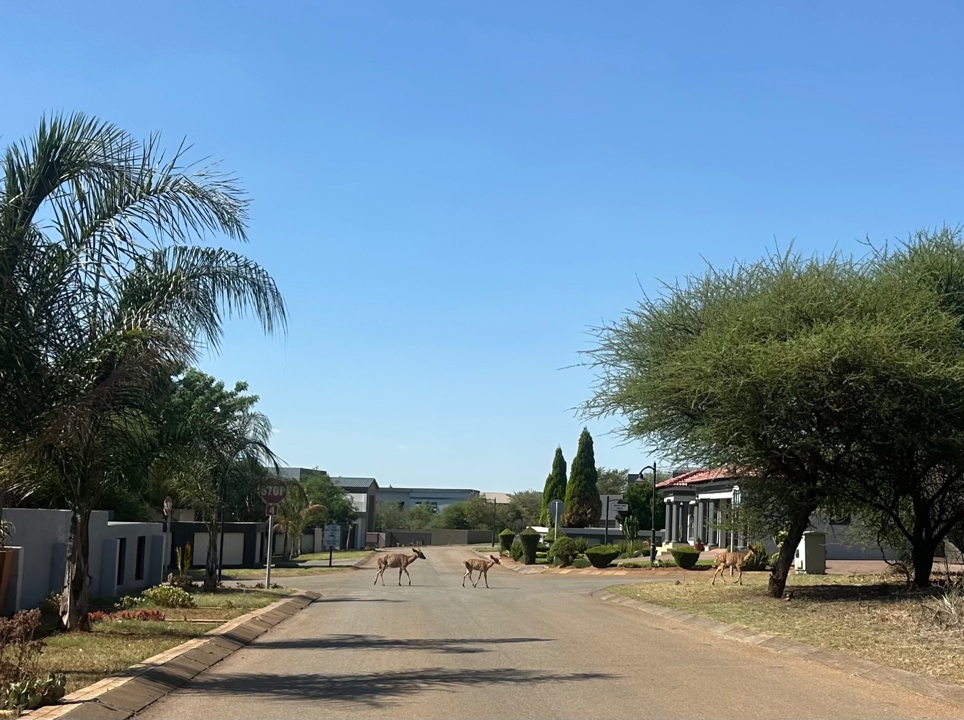 Vacant Land for sale in Seasons Lifestyle Estate, Hartbeespoort, North West, 1052 m²