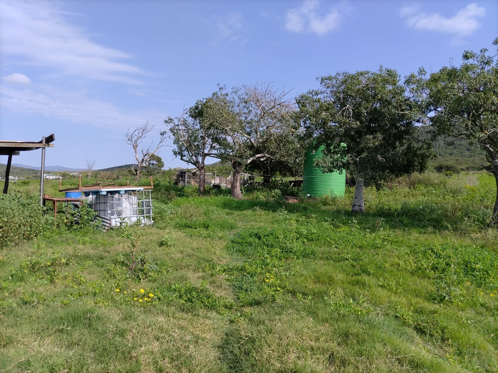 Small Holding for sale in Uitenhage Rural, Uitenhage, 103277 m²
