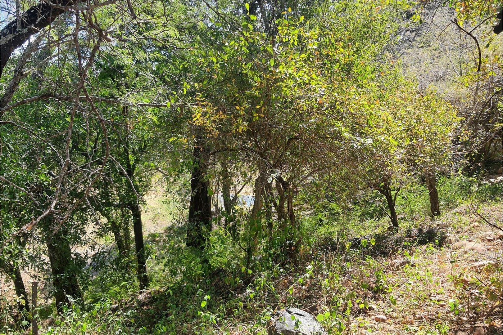 Vacant Land For Sale in Blyde Wildlife Estate, Hoedspruit