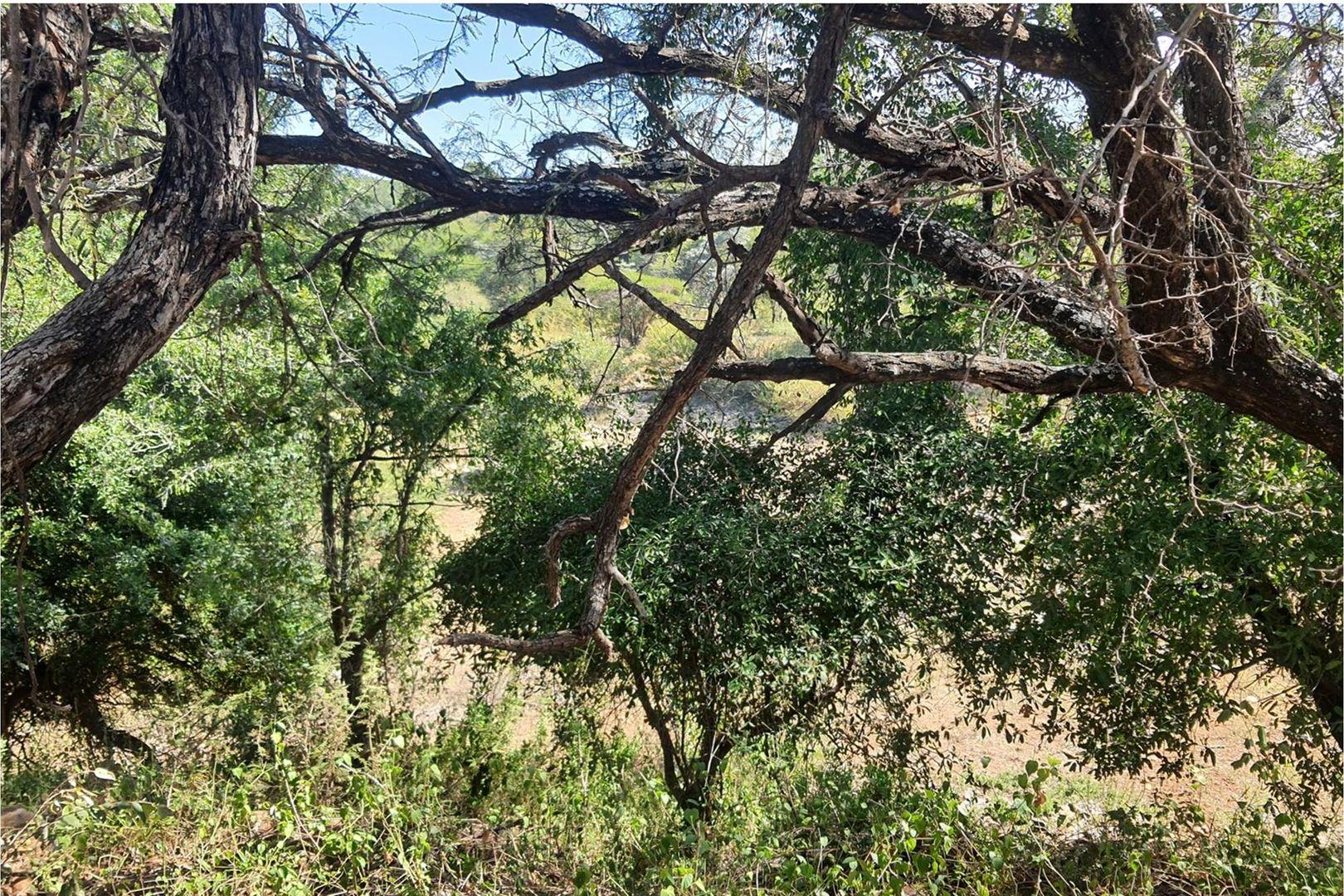 Vacant Land For Sale in Blyde Wildlife Estate, Hoedspruit