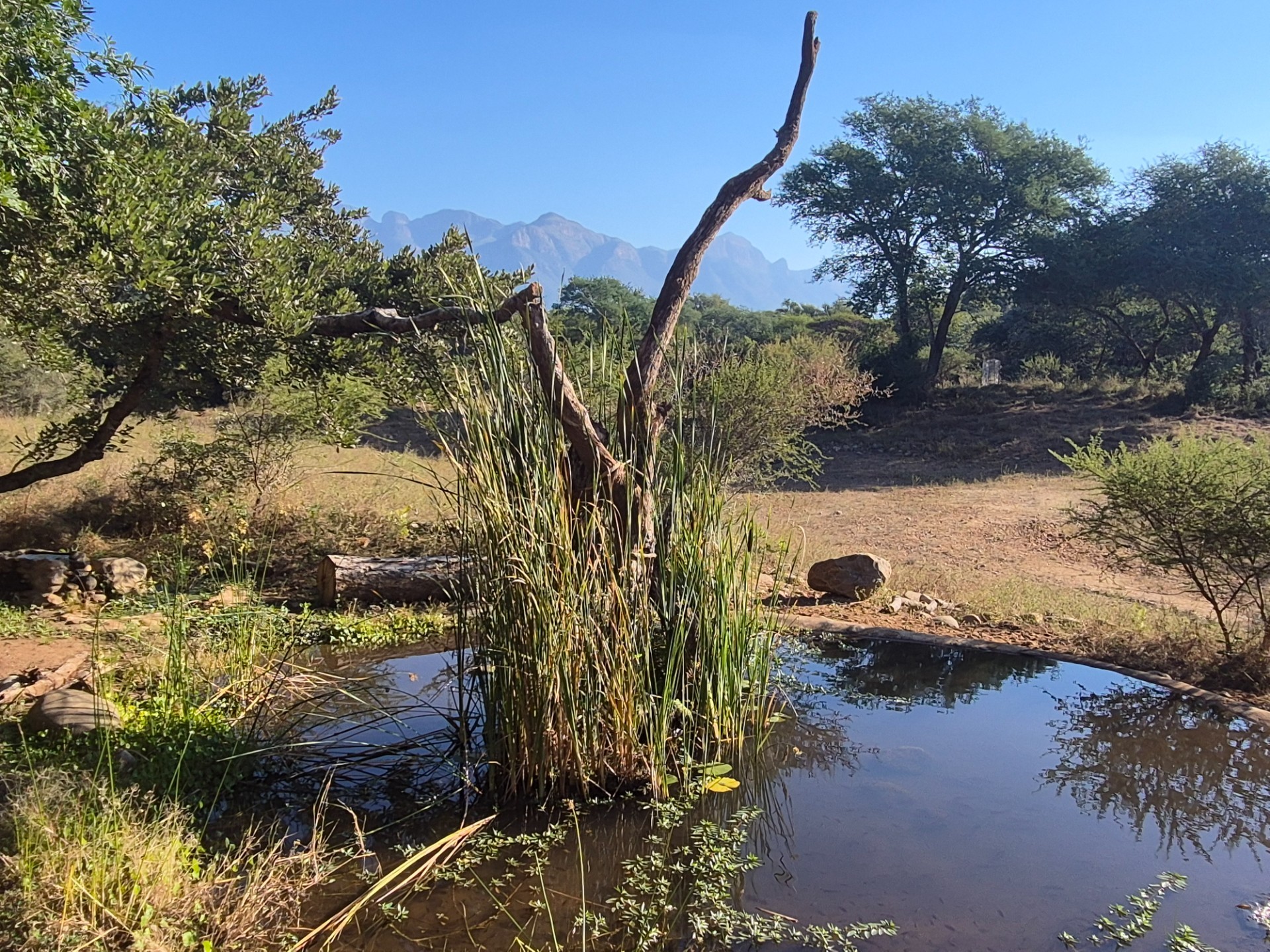 Vacant Land for sale in Blyde Wildlife Estate, Hoedspruit, 2730 m²