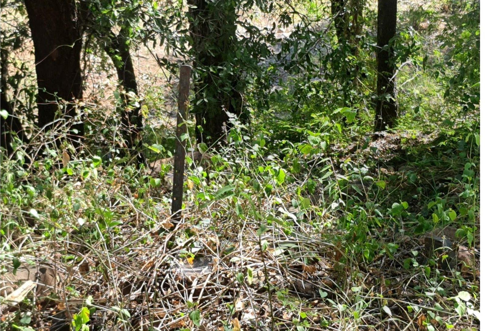 Vacant Land For Sale in Blyde Wildlife Estate, Hoedspruit