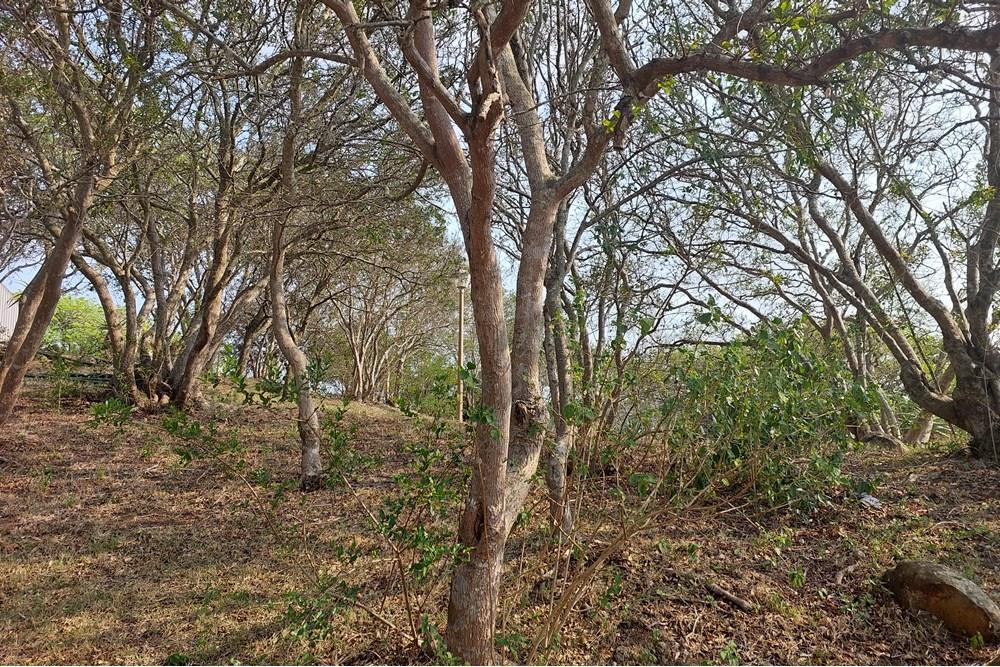 Farm for sale in Nseleni, Empangeni, KwaZulu Natal