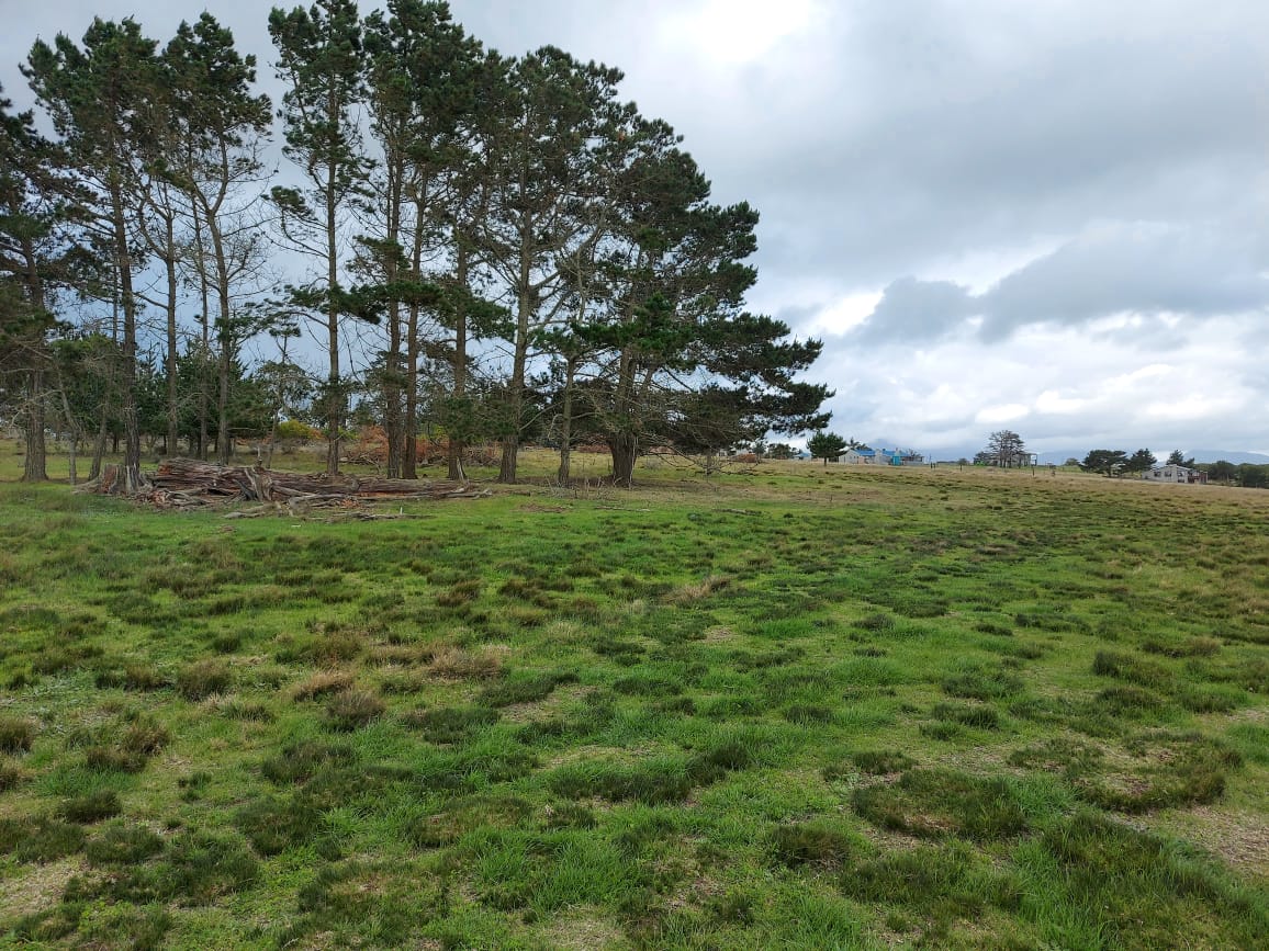 Farm for sale in George
