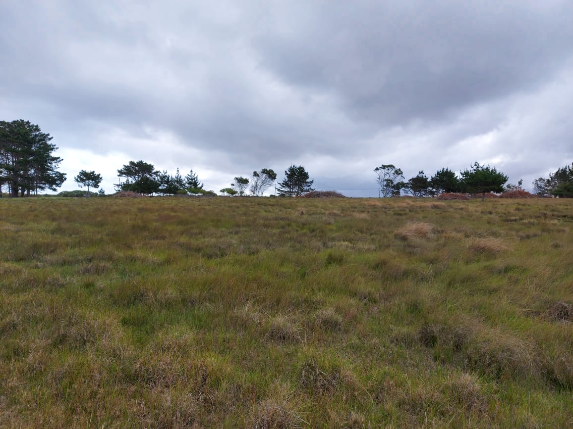 Farm for sale in George
