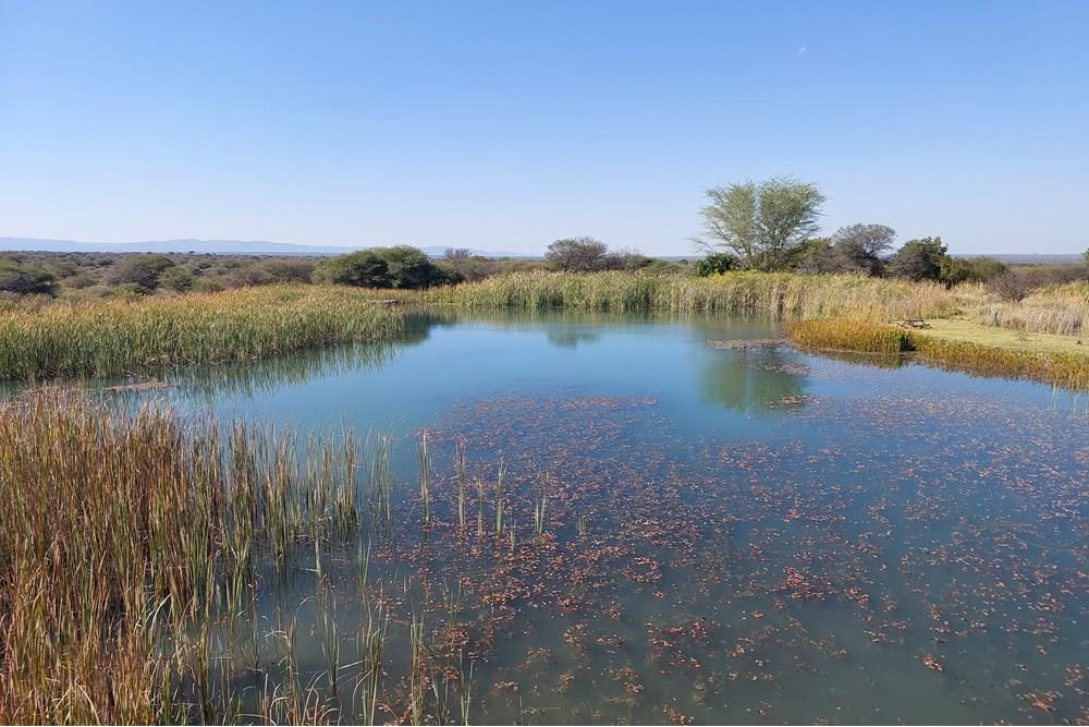 Vacant stand for sale in Bela Bela Rural, Bela Bela