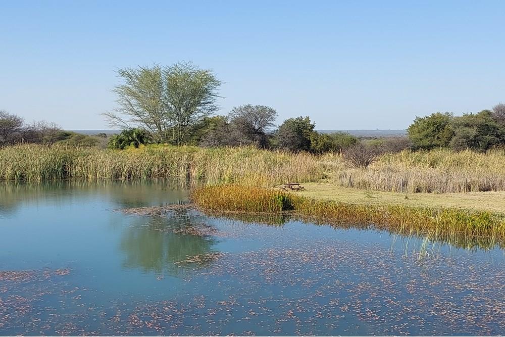 Vacant stand for sale in Bela Bela Rural, Bela Bela