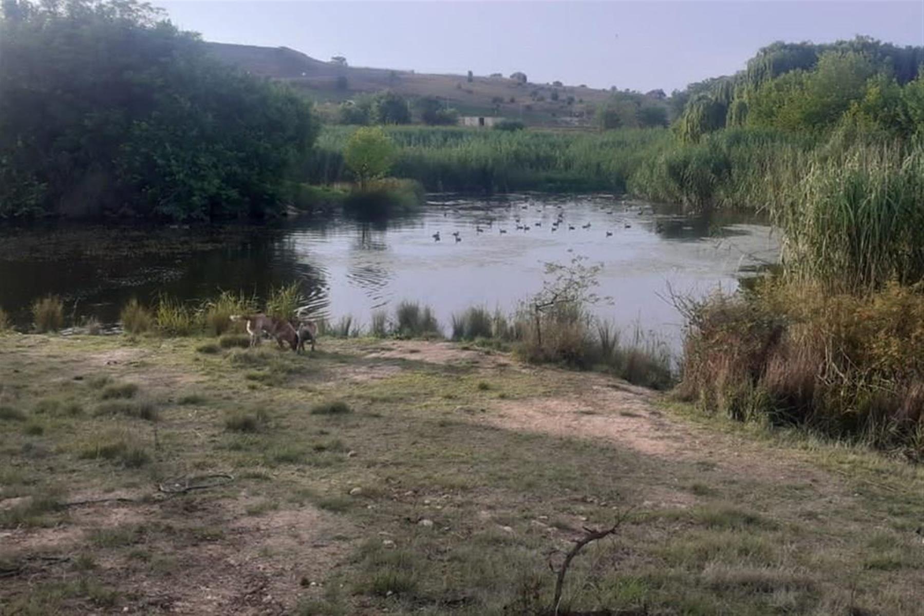 EXCELLLENT INVESTMENT IN A RAPIDLY GROWING AREA IN LANSERIA