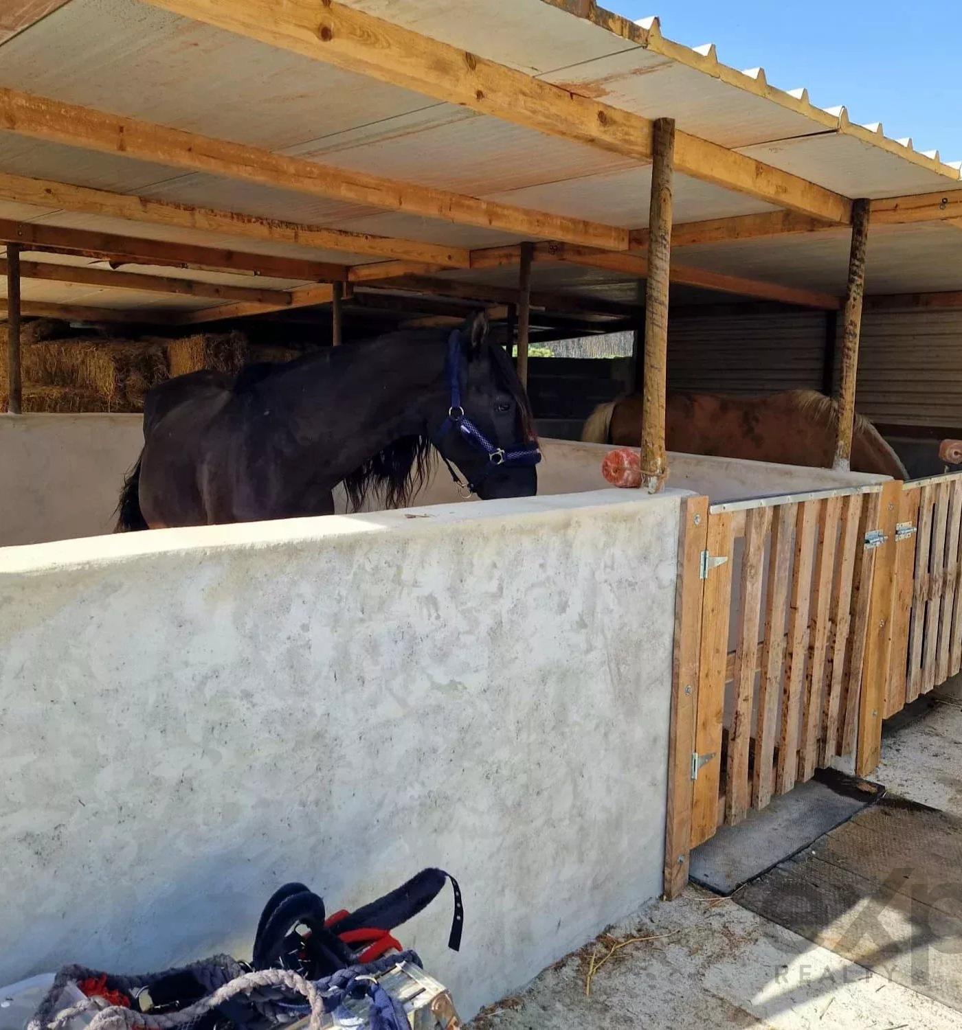 Charming Estate with 10,880m² 5 minutes from Bombarral — 1